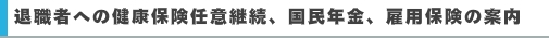 退職者への健康保険任意継続、国民年金、雇用保険の案内