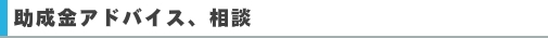 助成金アドバイス、相談